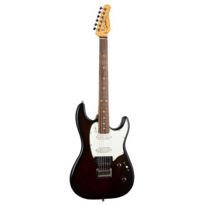 大量入荷 Burst Bourbon HT Session RN Guitars Godin | ギター