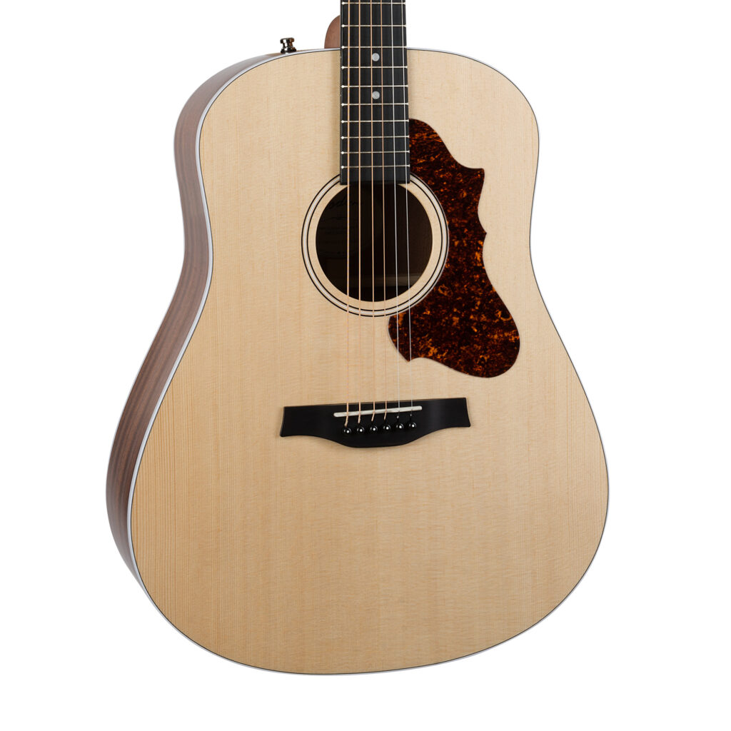 Metropolis Classic LR Baggs Element