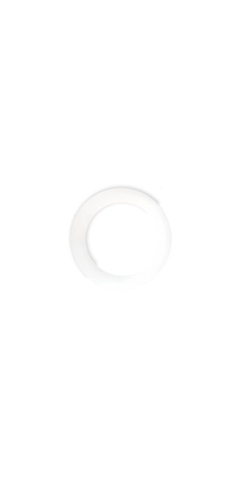 Plastic white washer for machine head (single unit)