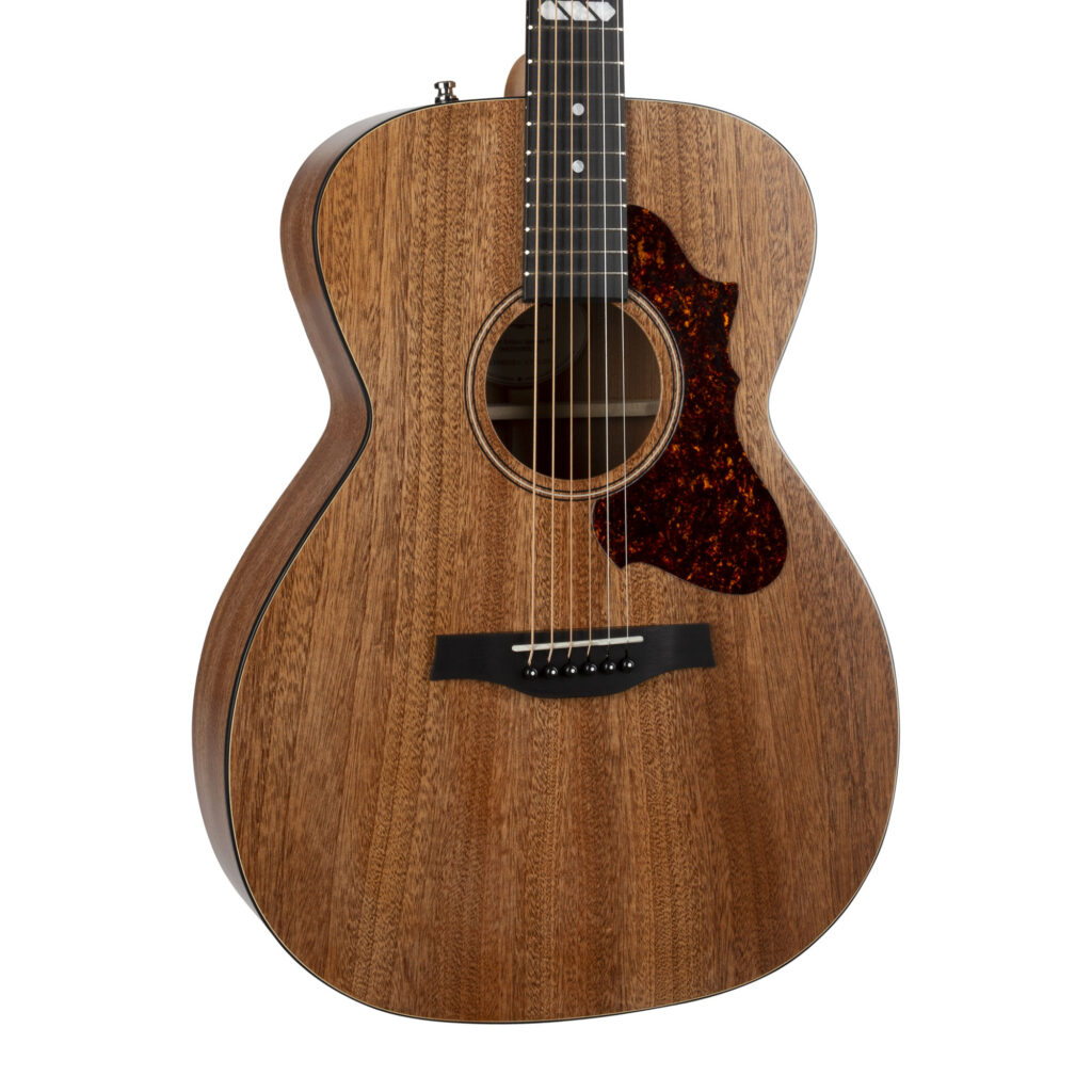 Metropolis Composer LR Baggs Element