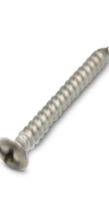 Chrome oval head Phillips screw for end pin