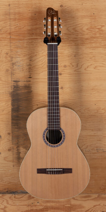 Godin Nylon Collection - B Stock