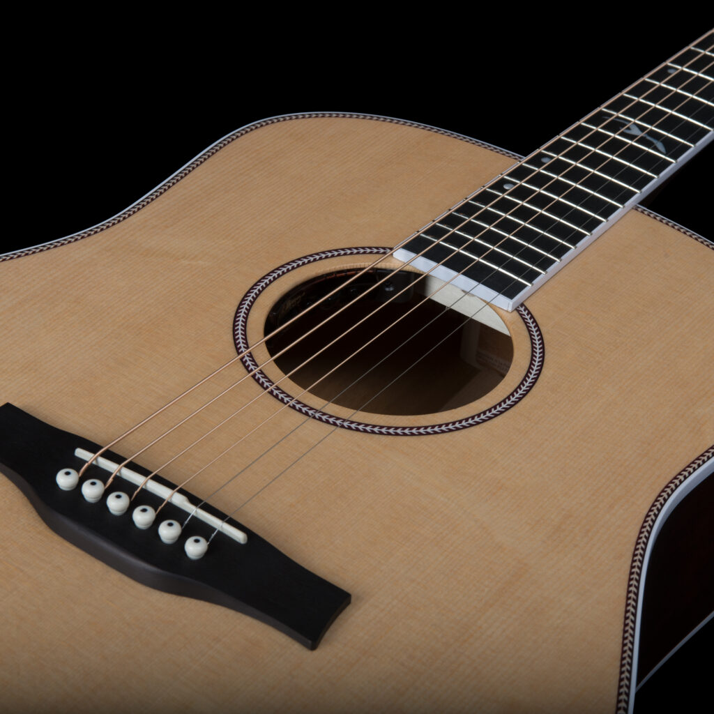 Discover Seagull Acoustics