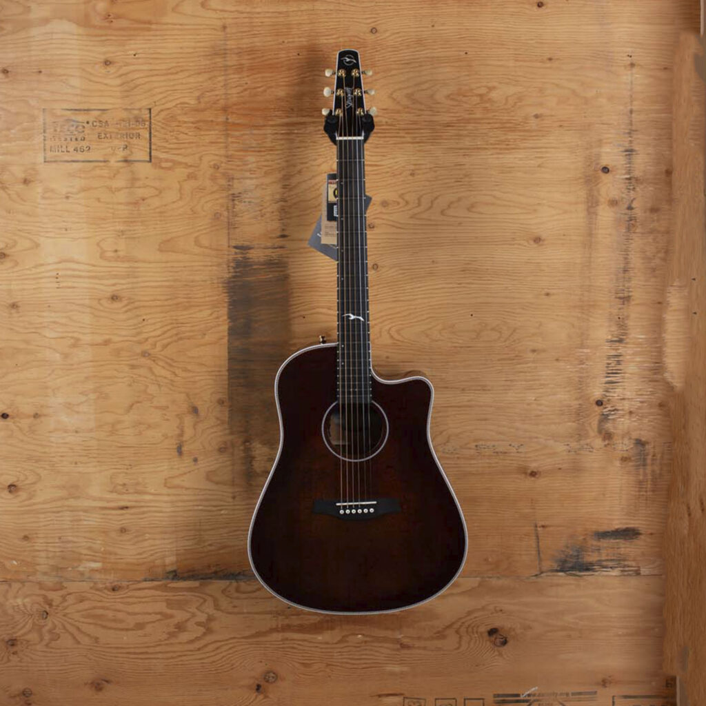 Seagull Artist Peppino Signature CW Bourbon Burst – Stock B