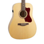 B20 Natural GT Presys II