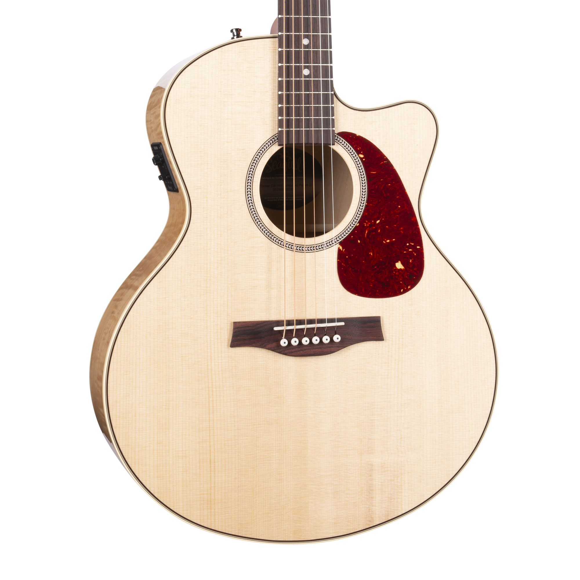 Performer CW Mini Jumbo HG Presys II