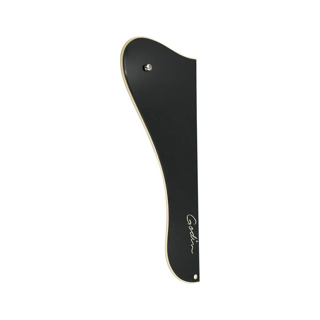 Plaque de protection noire pour 5e Avenue acoustique