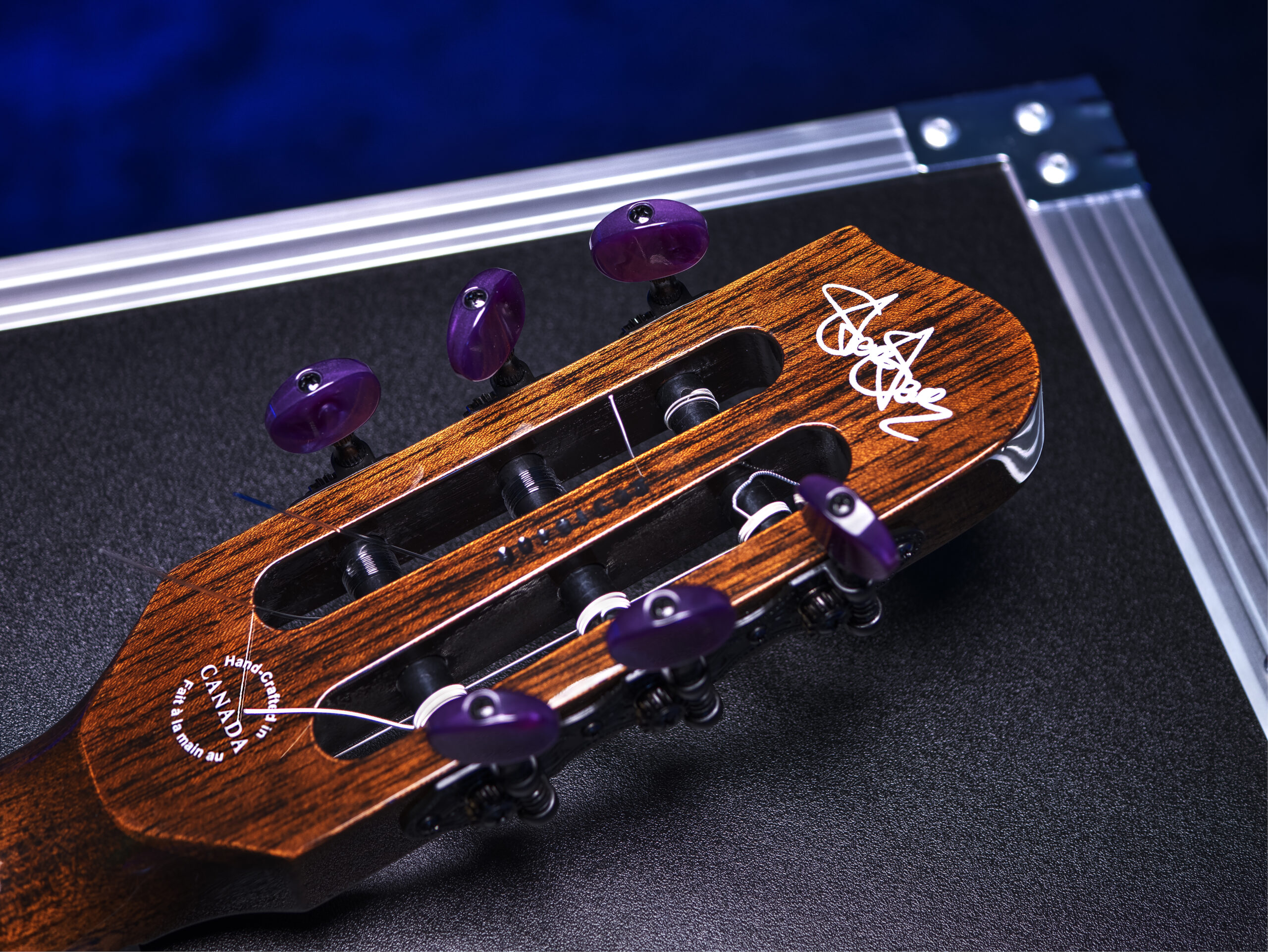 Godin ACS Nylon Steve Stevens Signature 25th Anniversary