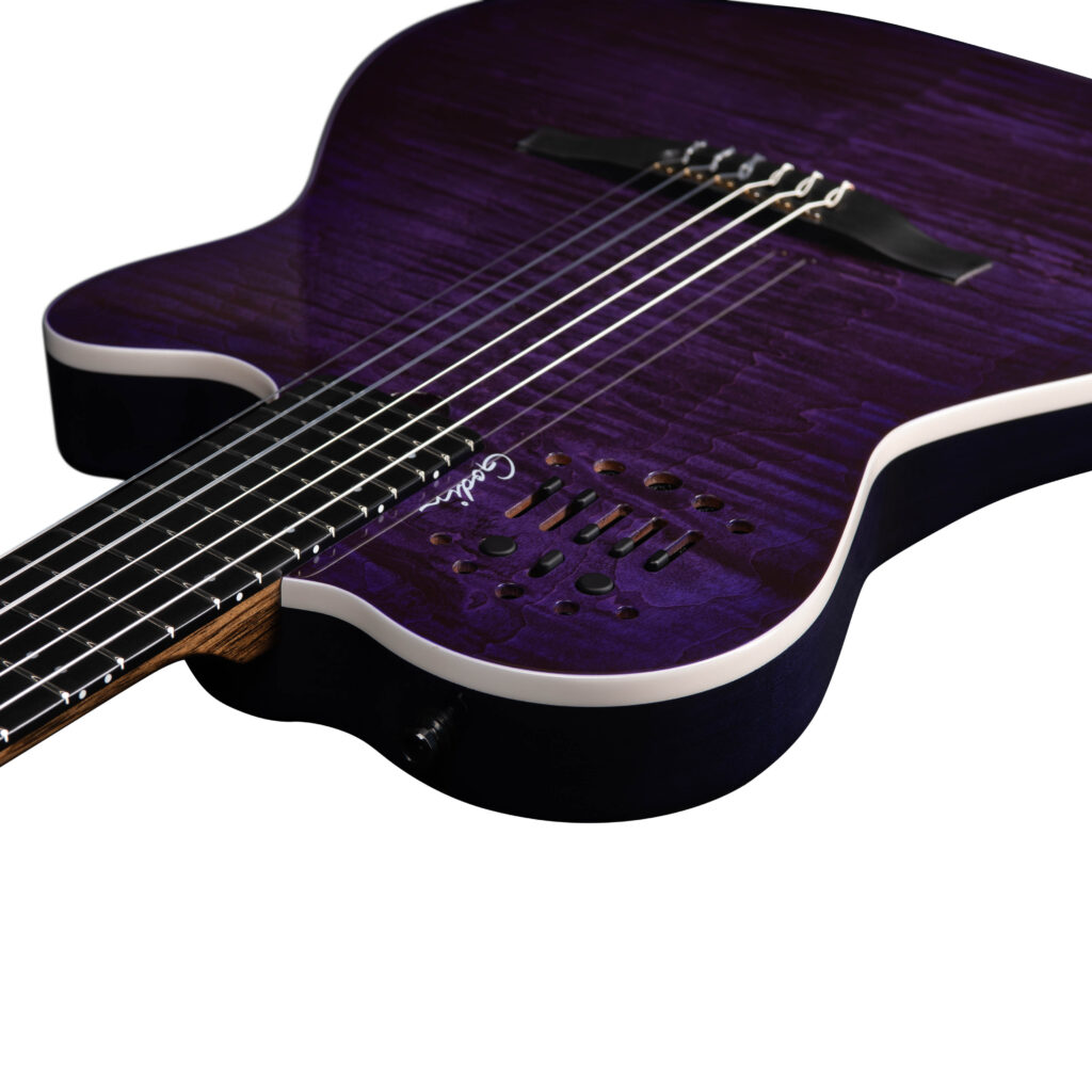 Godin ACS Nylon Steve Stevens Signature 25th Anniversary