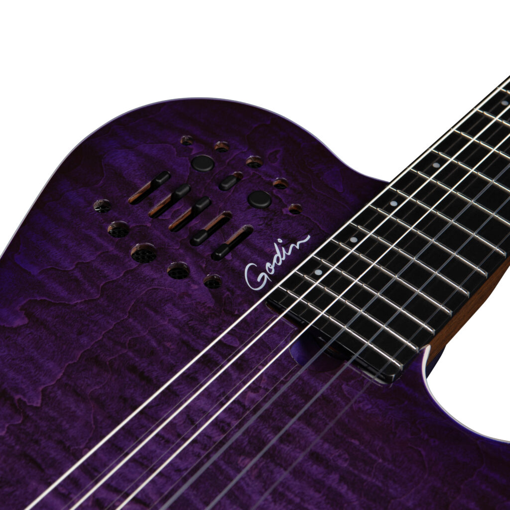 Godin ACS Nylon Steve Stevens Signature 25th Anniversary